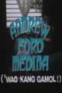 Andrew Ford Medina: Wag Kang Gamol!