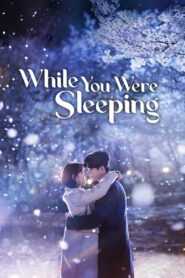 While You Were Sleeping (Tagalog Dubbed) (Complete)